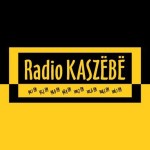 Гіст в ЛЕМ.ФМ #48 - Radio Kaszebe