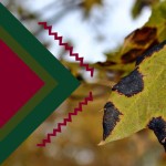 На што хворіє ліс