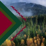 Кольоры в лісі