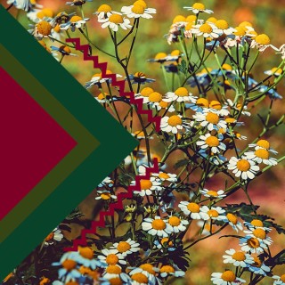 Лікарства